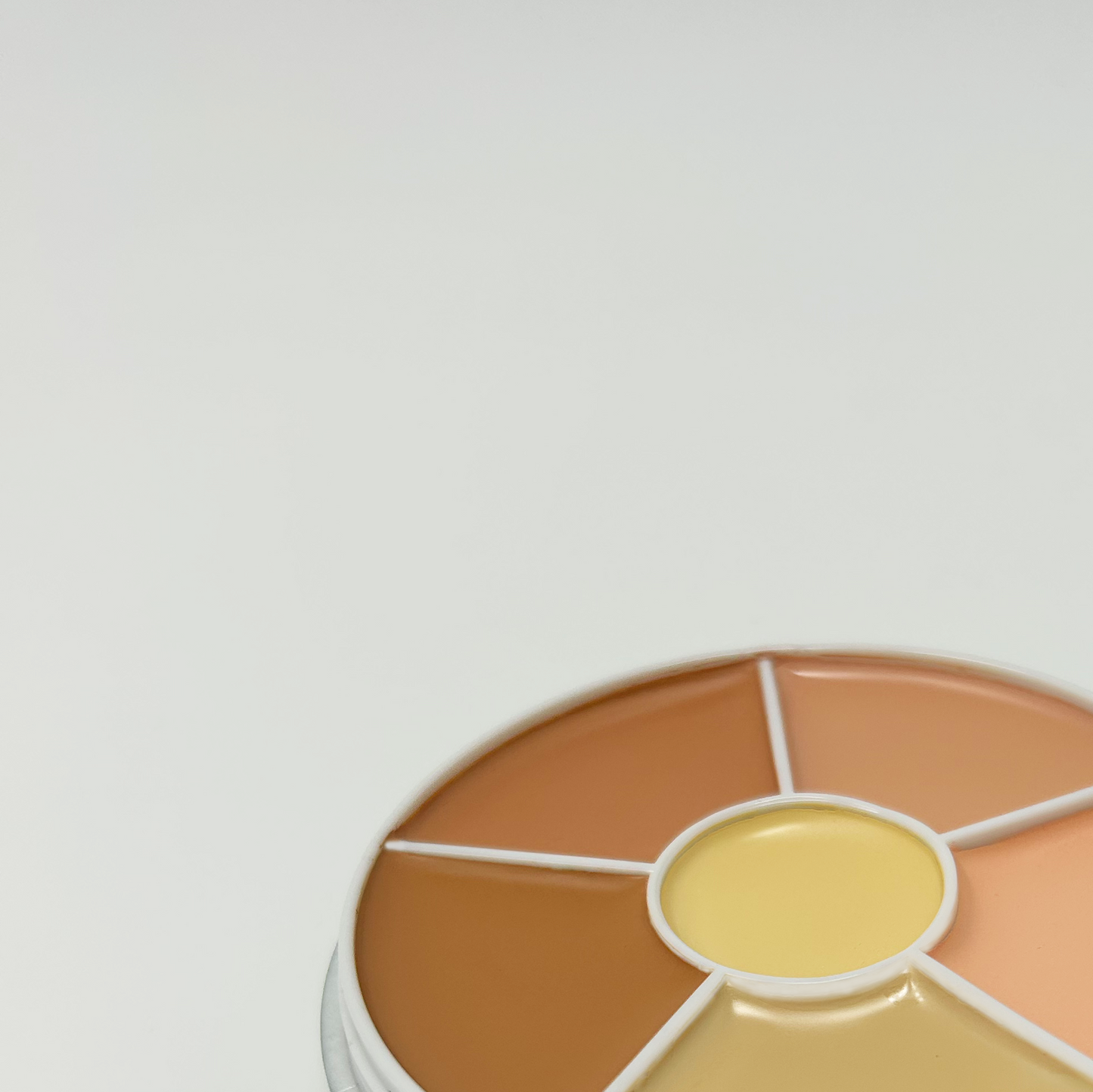 Conceal & Correct Pro Palette